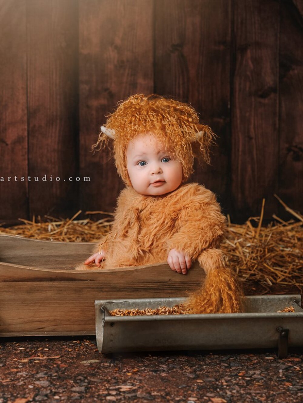 Baby Highland Cow Costume, first birthday set, 12-18 M